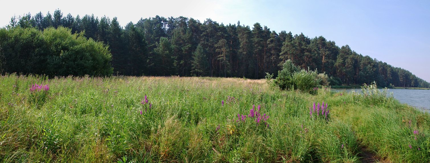 Панорама природы Урала