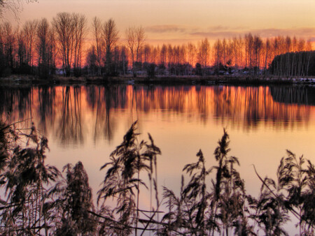 ..снова замерло всё до рассвета..