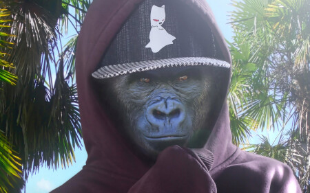 GORILLA PROJECT :: RADKECAPS
