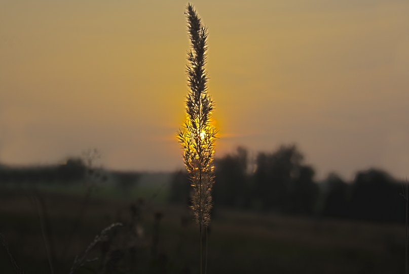 На закате