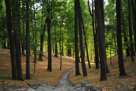 Пересохший ручей....?