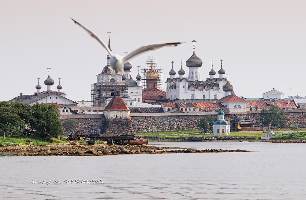 В БУХТЕ БЛАГОПОЛУЧИЯ