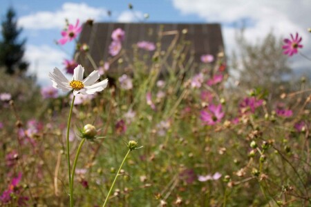 Runaway with me where we can be alive