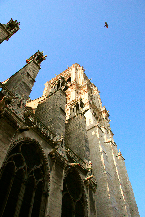 Вертикали Парижа_Notre Dame de Paris