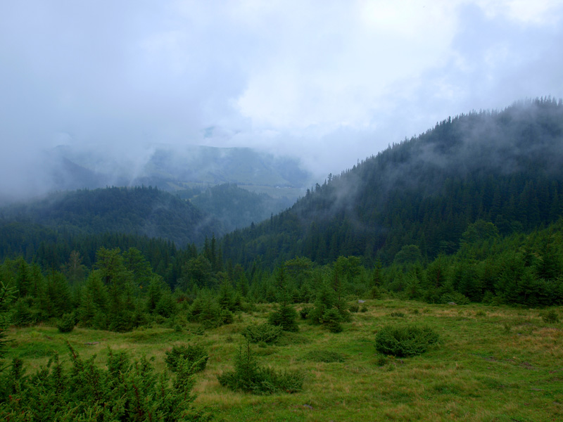 В облаках.