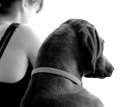 светлое будущее