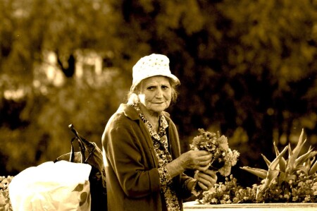 &amp;quot;ЦВЕТОЧНИЦА&amp;quot;