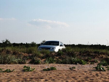 притаилась