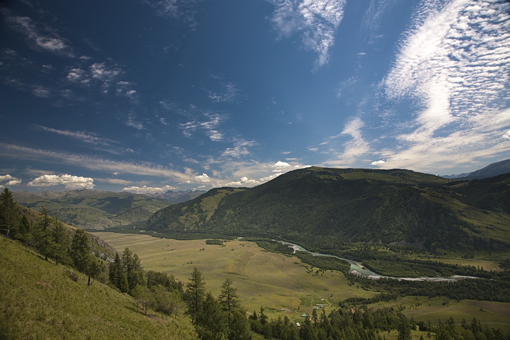 Белая берель