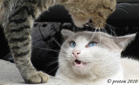 высокое напряжение