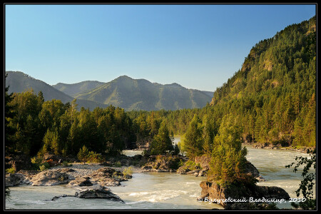Алтай, вечерняя Катунь