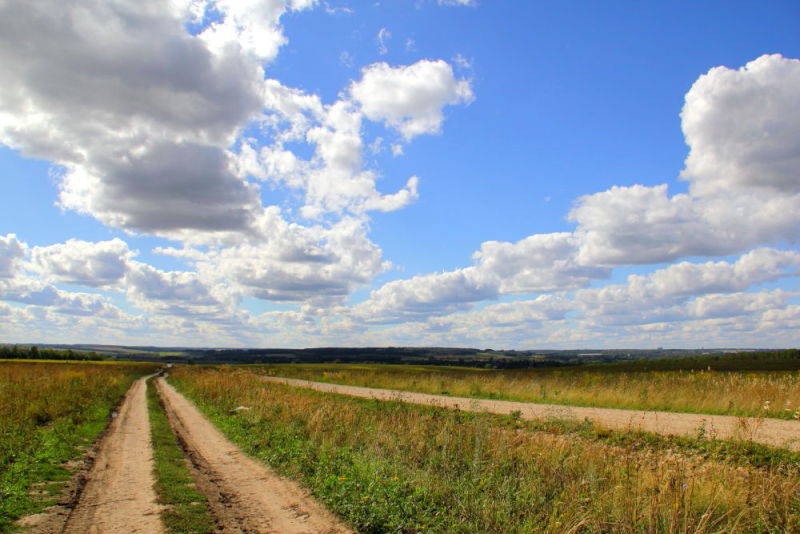 Полевая дорога