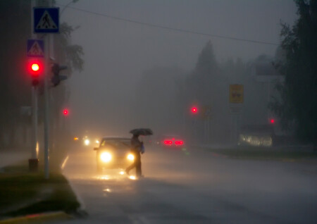 влажность повышена