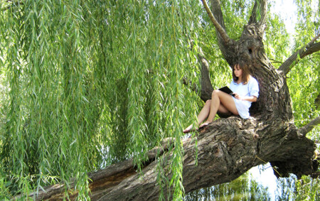 Она обошла целый мир с книгой &amp;quot;Унесенные ветром&amp;quot;..