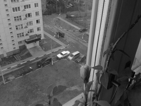 Вид из окна