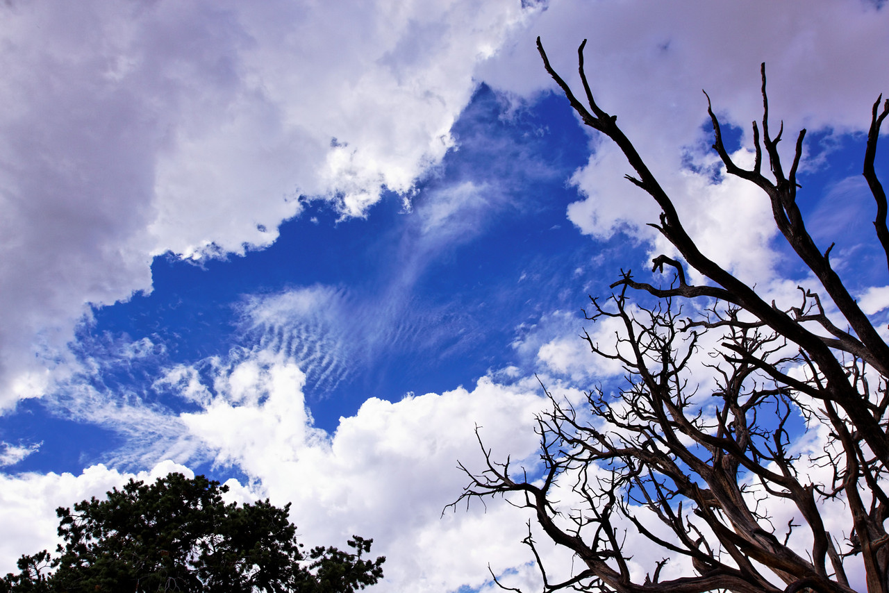 ... Bright blue the sky...