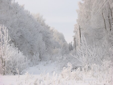 Снежная сказка