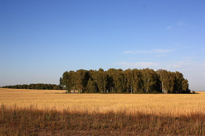 Цвета осени