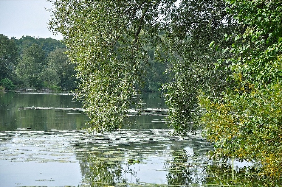 Архангельское