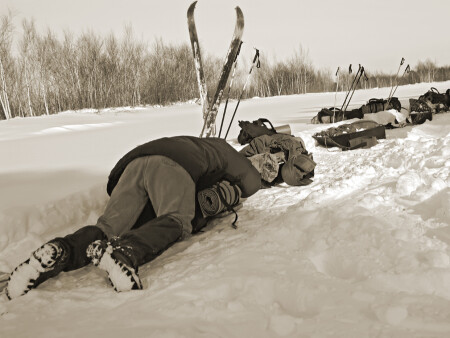 недвижимость