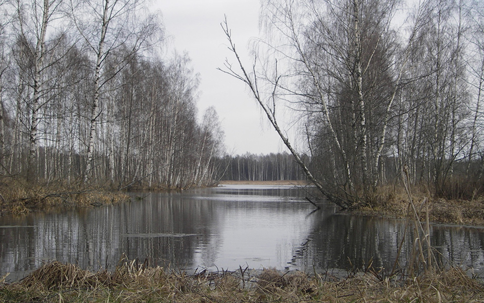 Перед пробуждением