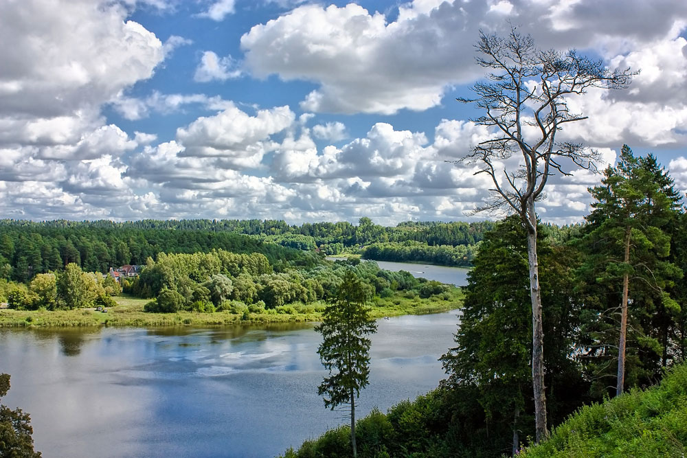 Широка страна