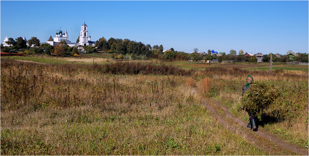 Сенозаготовки (2)