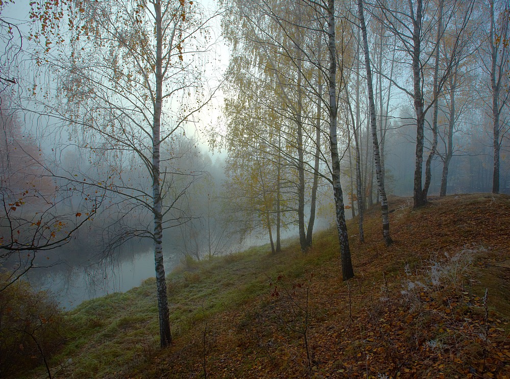 Осенний сон