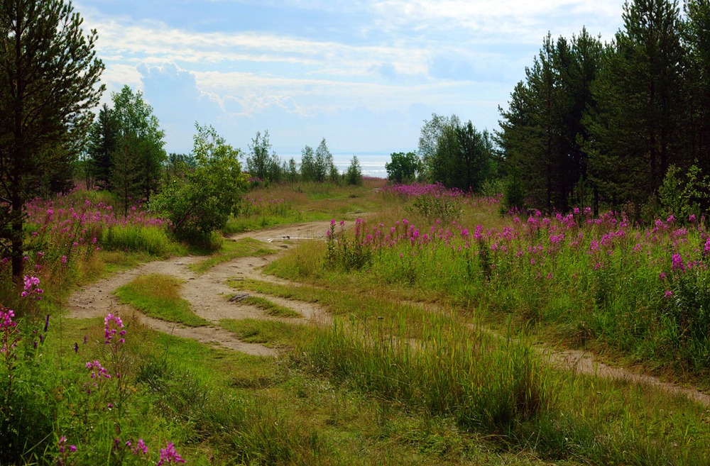 Заполярное лето