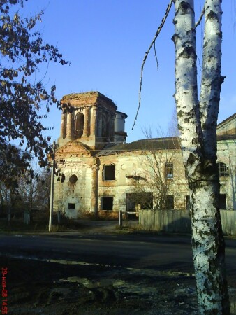 Берёзка