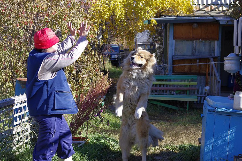 Стоять!Смирно!