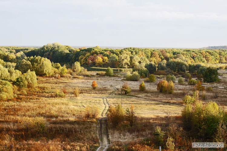 Осенняя дорога