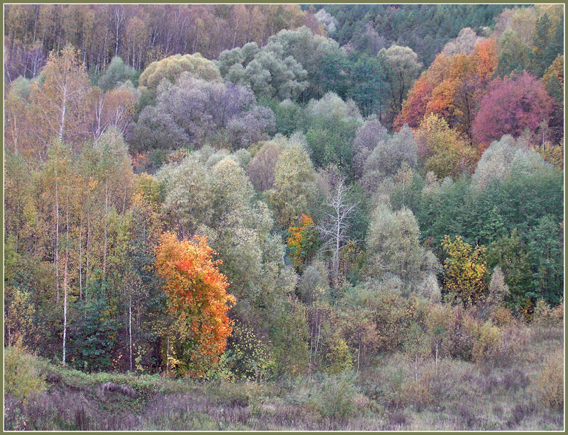 Художник - Осень.