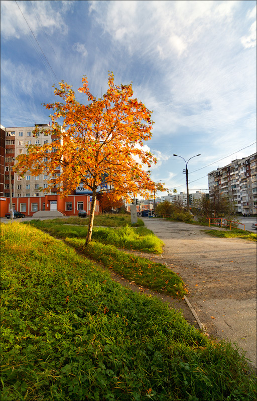 Осенняя городская