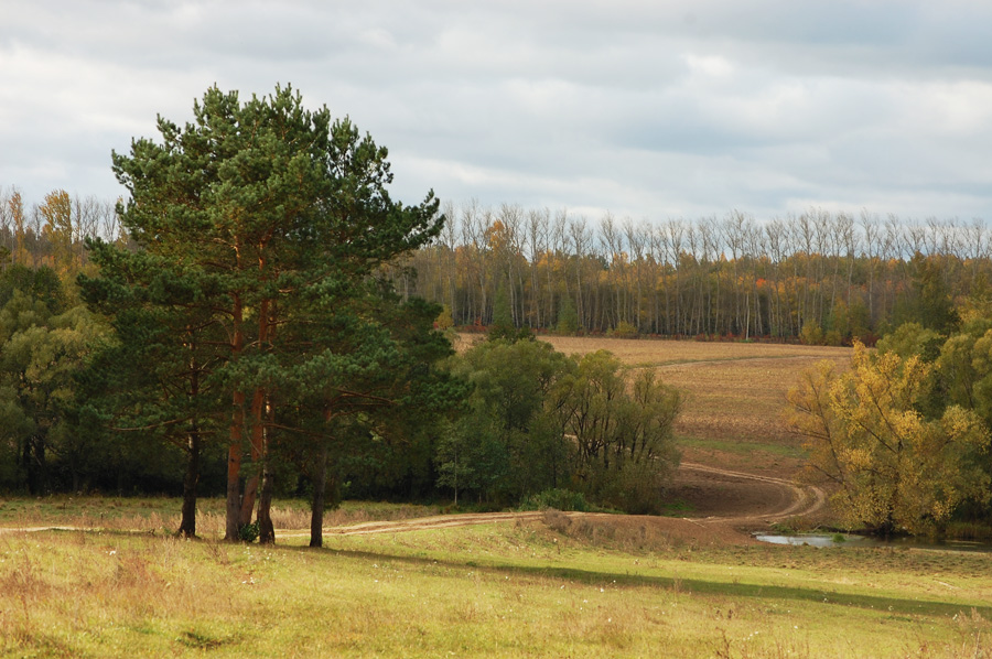 Осенняя пастель