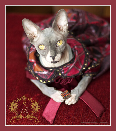 &amp;quot;Барыня&amp;quot;