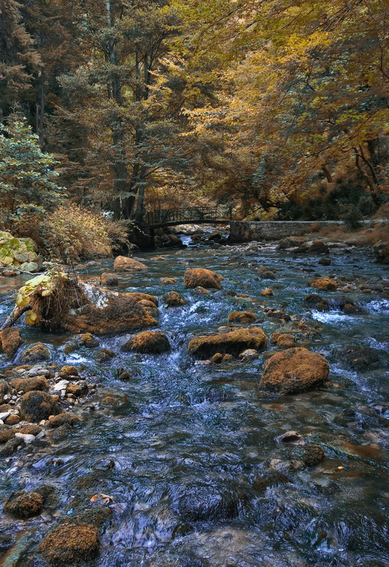 Осень на горных реках