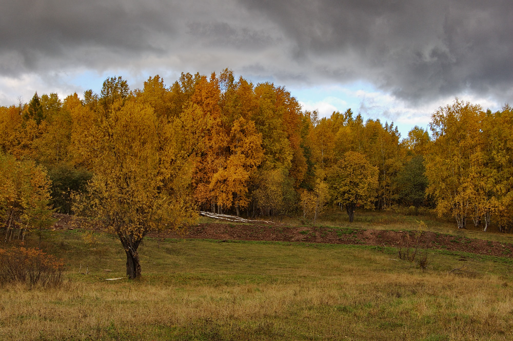 Краски осени