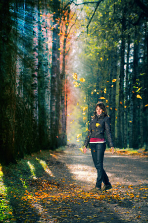 Осень в Павловске