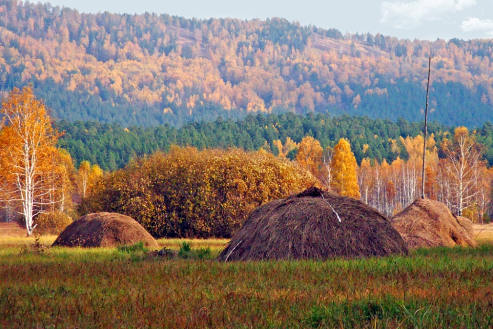 Краски осени