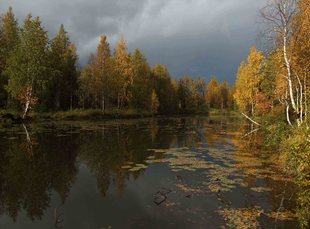 Осень наступает