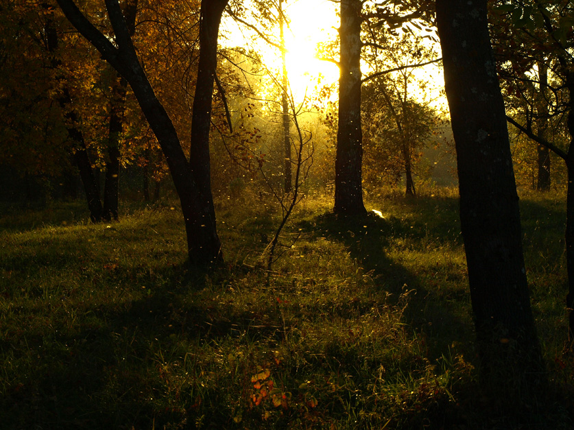 Осень