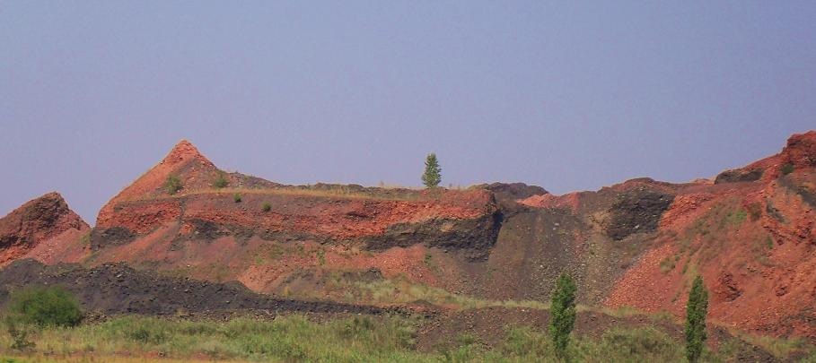 Дикий Запад))