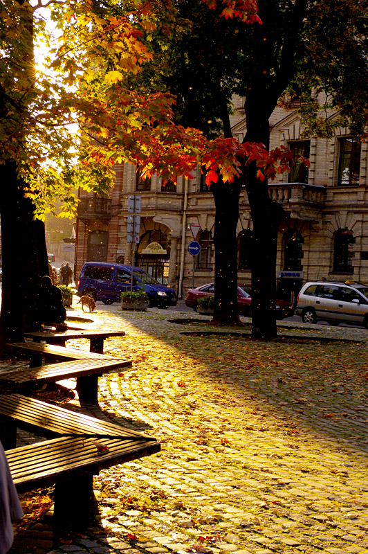 The autumn in Vilnius.