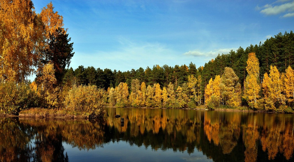 Золотая осень