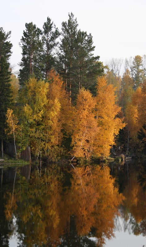 Зеркало осени