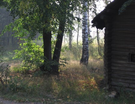 Осеннее утро