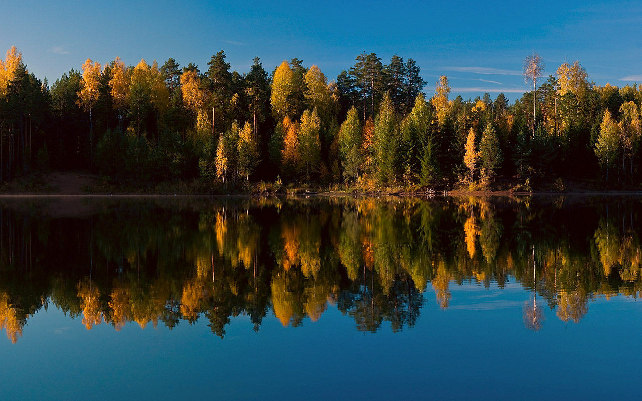 Золотая Осень