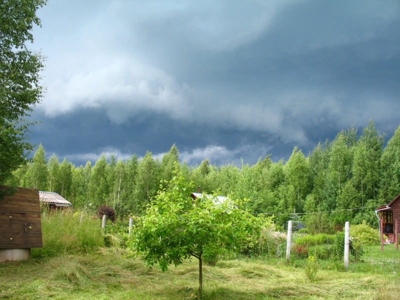 Приближение ливня