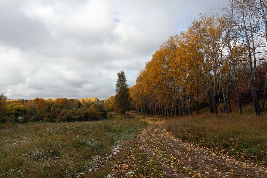 Осенний день